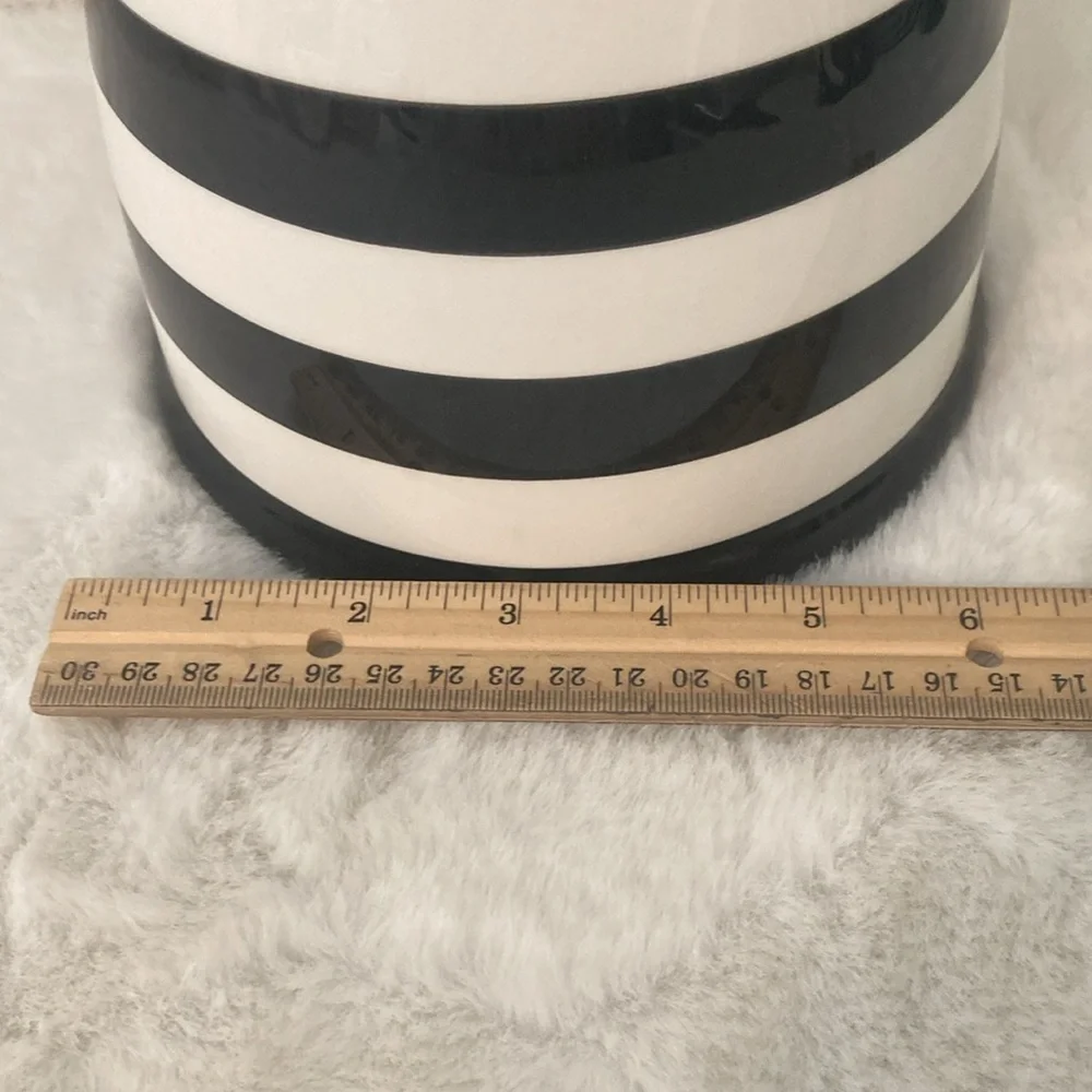 Terramoto Large Halloween Bat Canister